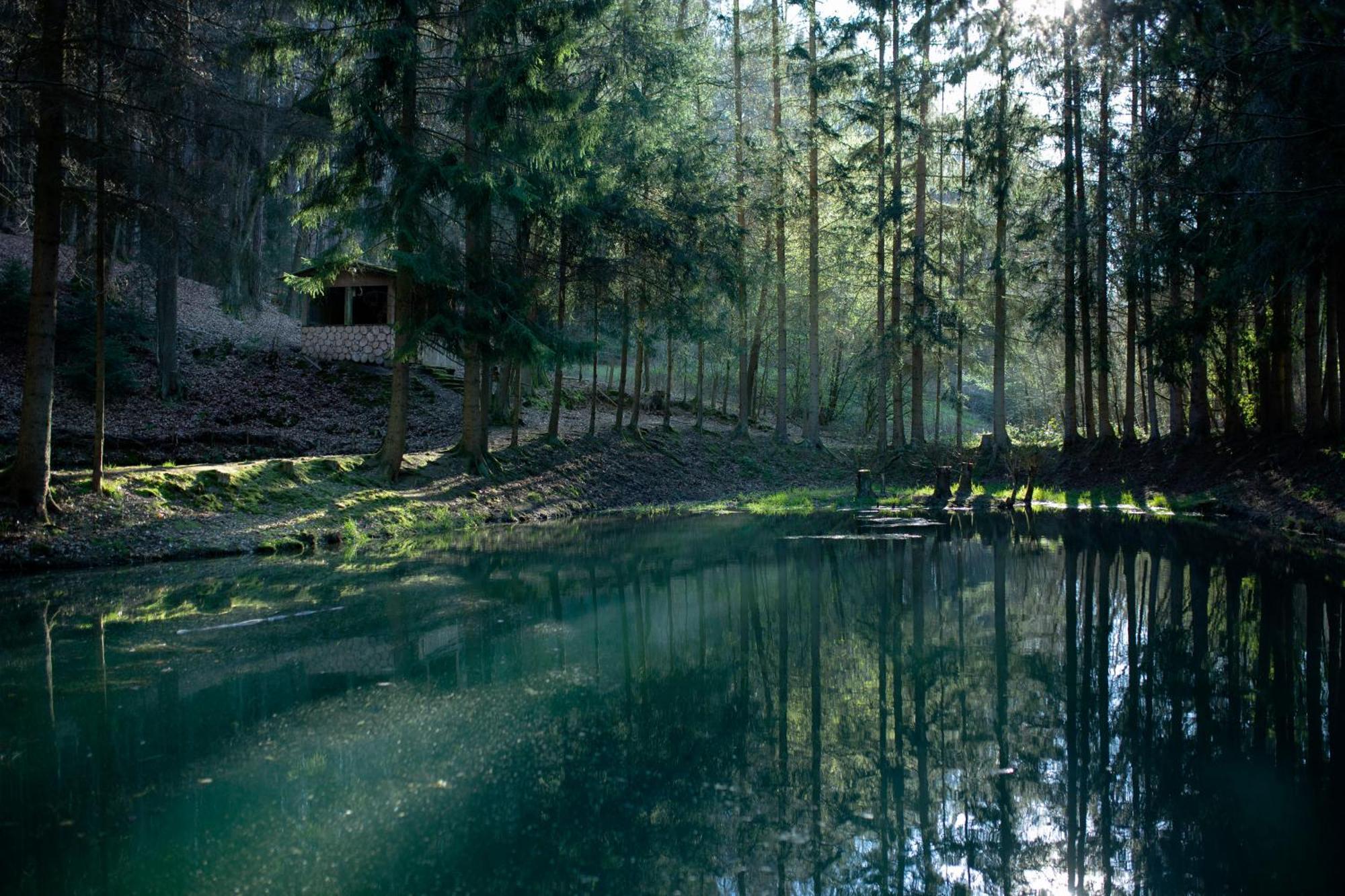 Fh "Baeren Ecke" Am See Im Hessischen Bergland Kirchheim  Exterior foto